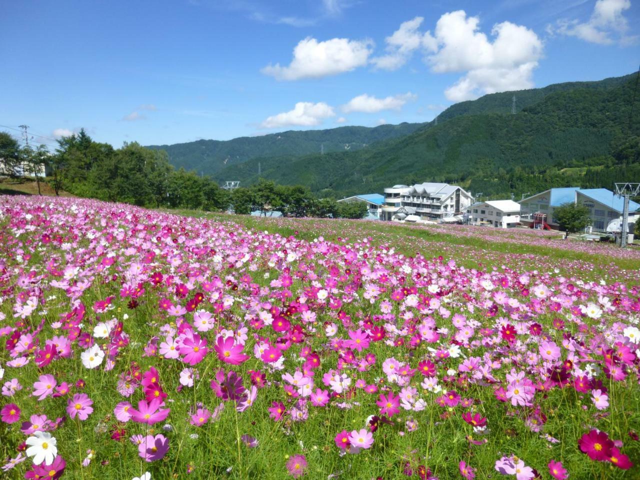 Joyful Honoki Hotell Takayama  Eksteriør bilde